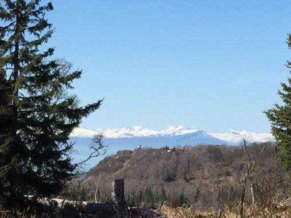 16424 Happy O Ave, Ninilchik, AK 99639